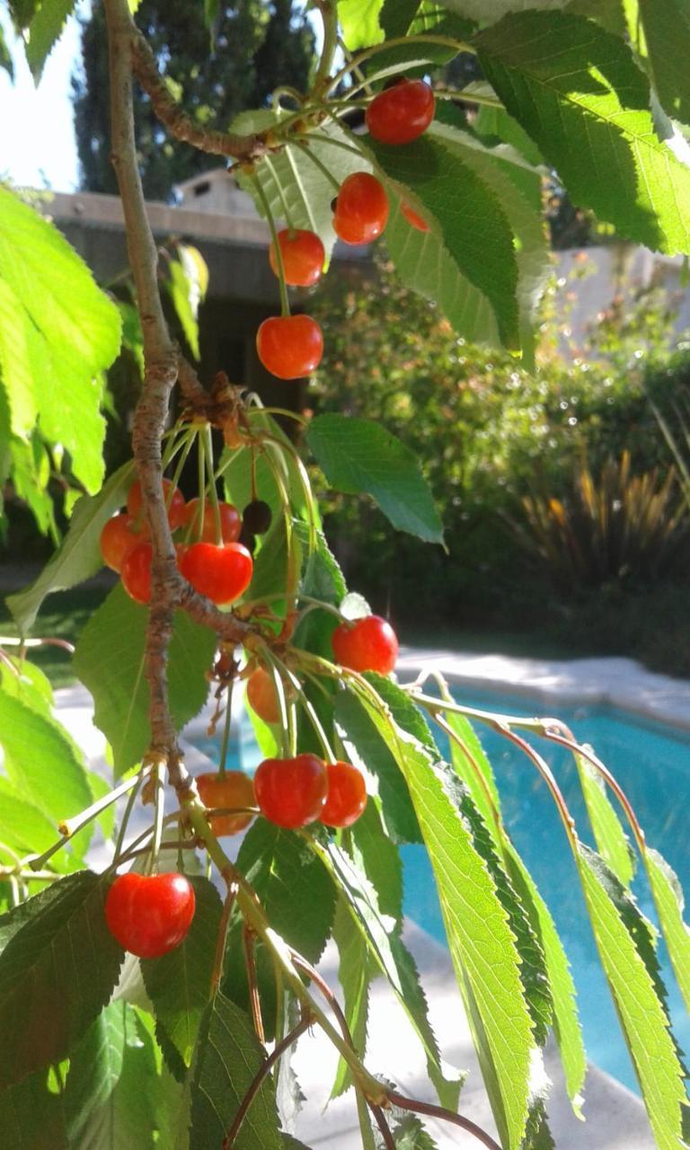Casa Los Cerezos En Чакрас де Кория Екстериор снимка